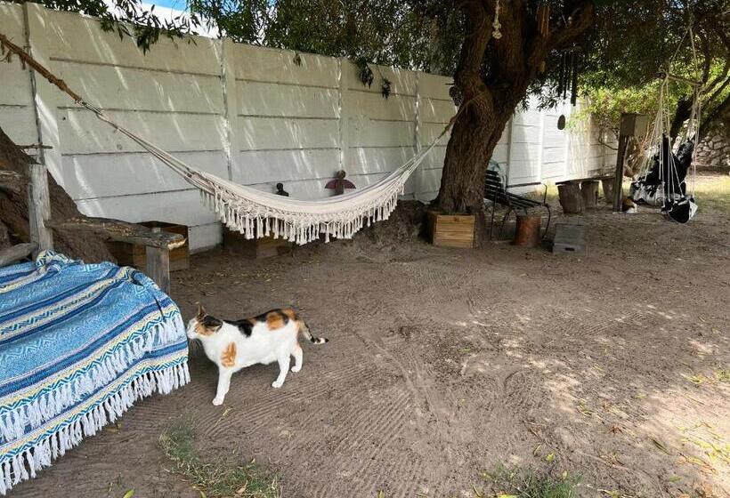 צימר Always Summer Guesthouse