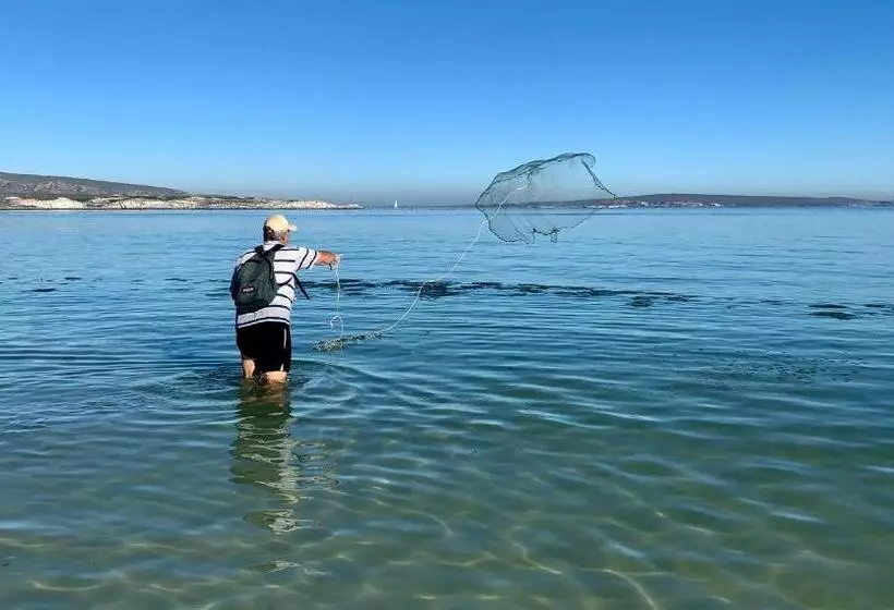 ベッドアンドブレックファースト Always Summer Guesthouse