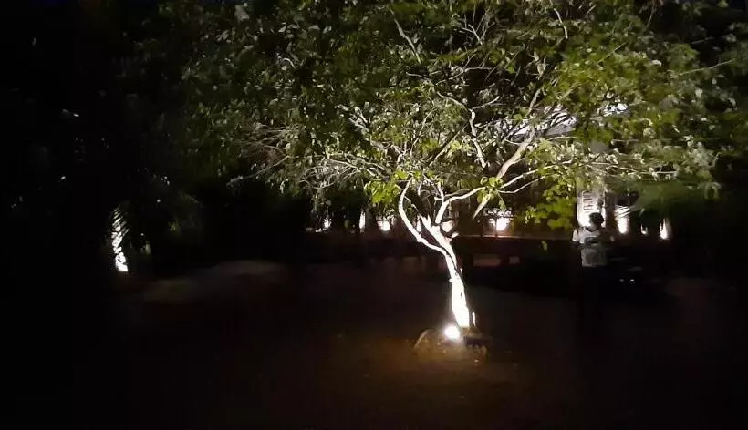 Majatalo Agro Village Resort , Kalpitiya