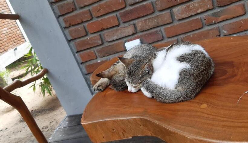 Пансион Agro Village Resort , Kalpitiya