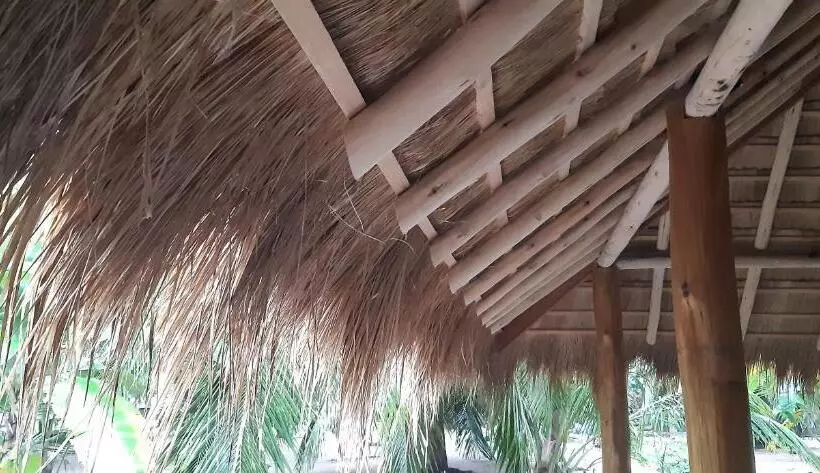 Majatalo Agro Village Resort , Kalpitiya