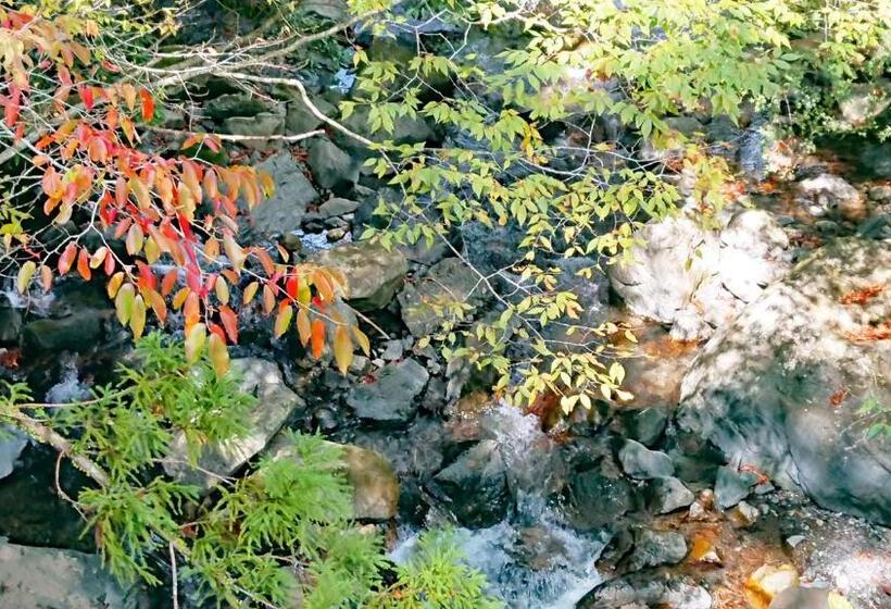 膳宿费 Washi Studio Kamikoya