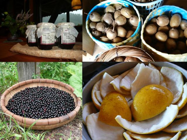 膳宿费 Washi Studio Kamikoya