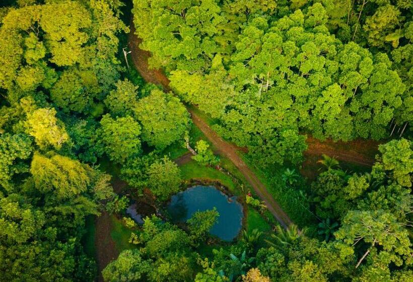 Отель Mirador Prendas