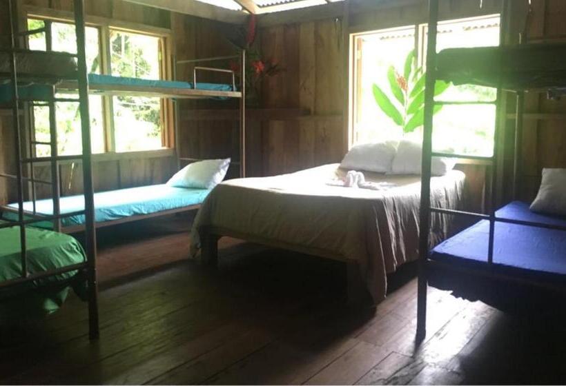 Отель Mirador Prendas