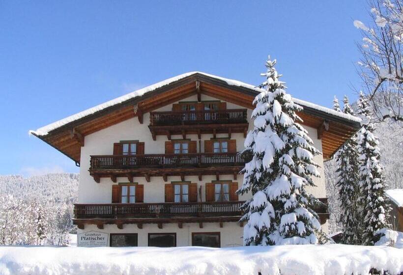 ペンション Gästehaus Pfatischer