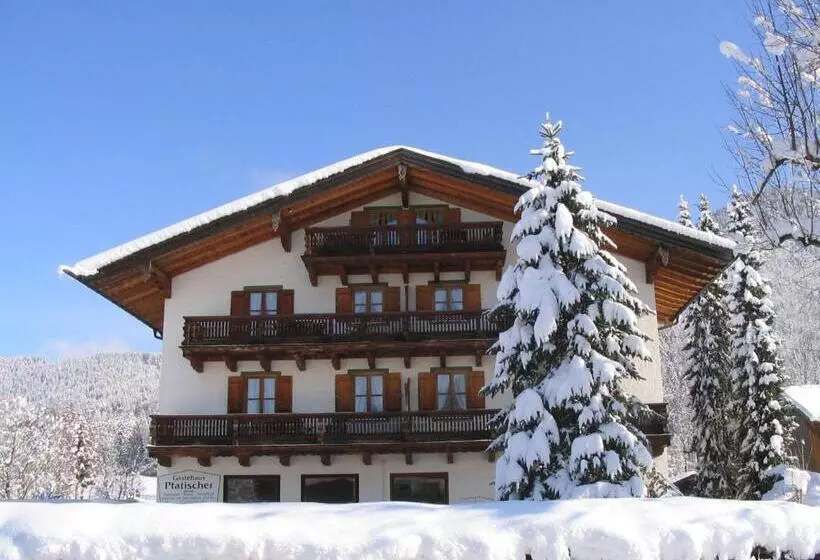 ペンション Gästehaus Pfatischer