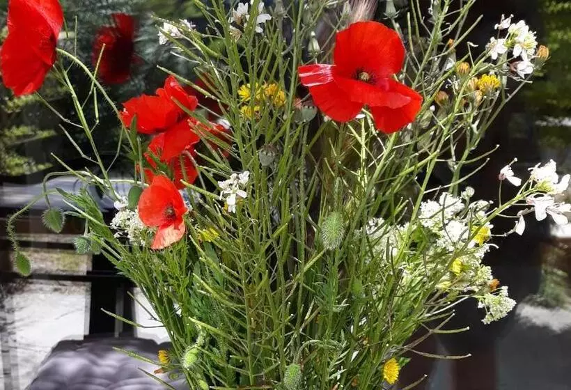 Aamiaismajoitus (B&B) Mas La Pomarede