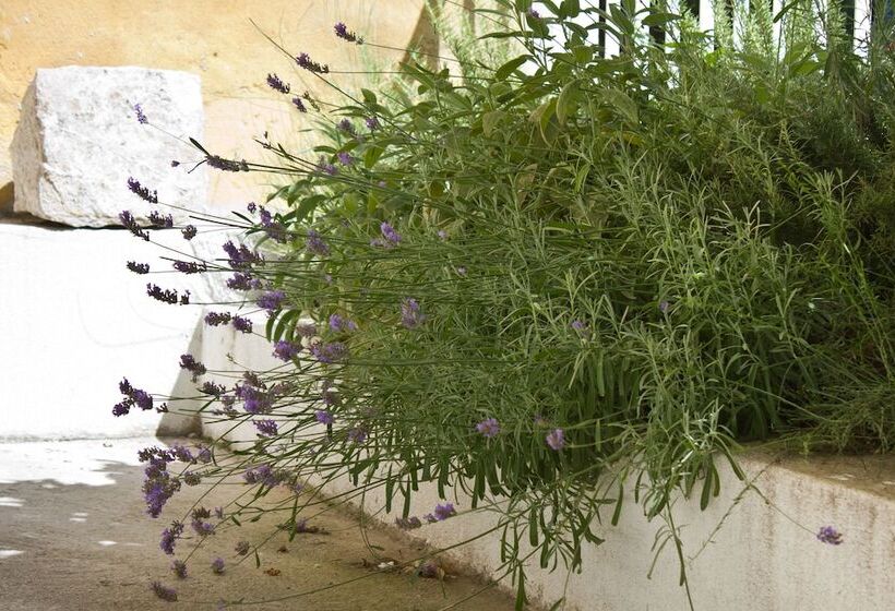 Eco B&b Old Town Beach