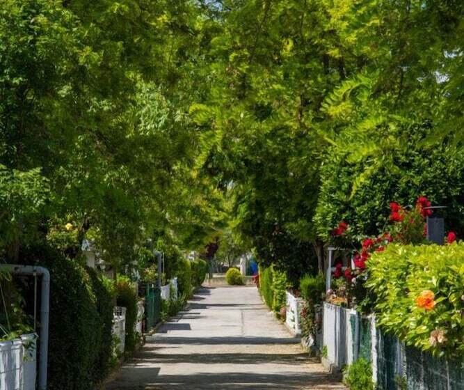 Отель Camping De Olite