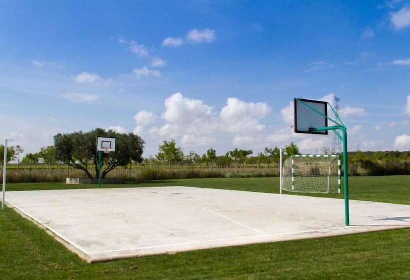 Отель Camping De Olite