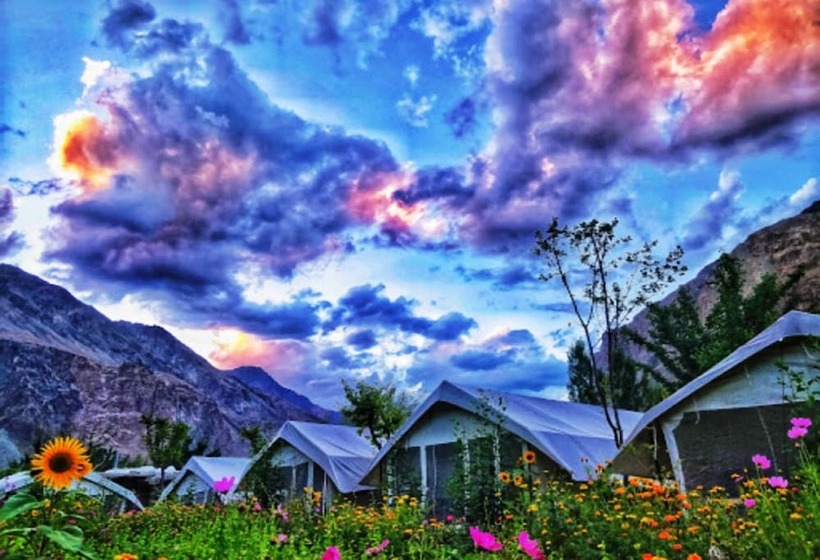 Hotel Tih Buckwheat Root Camp   Turtuk