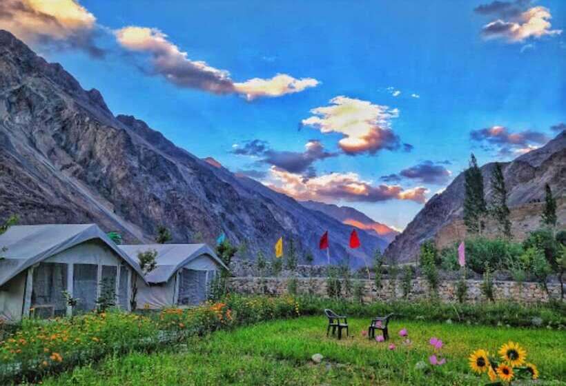 Hotel Tih Buckwheat Root Camp   Turtuk