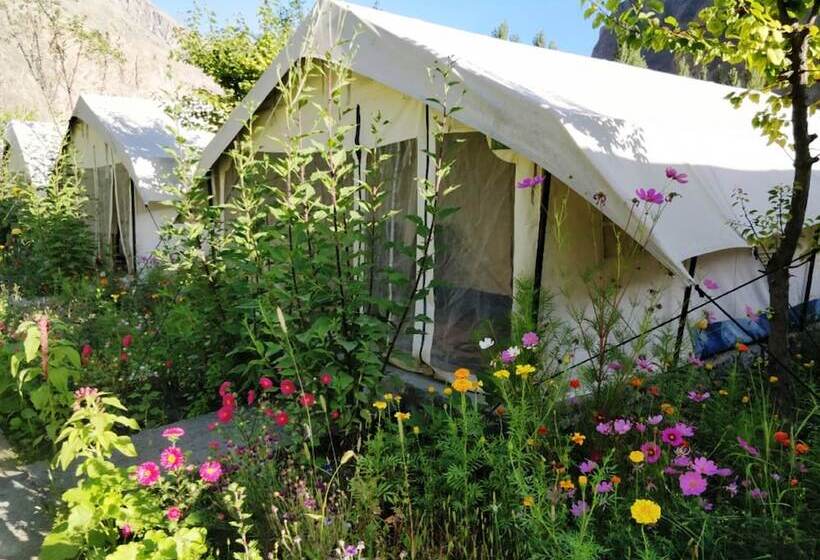 Hotel Tih Buckwheat Root Camp   Turtuk