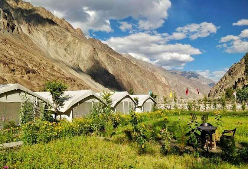 Hotel Tih Buckwheat Root Camp   Turtuk