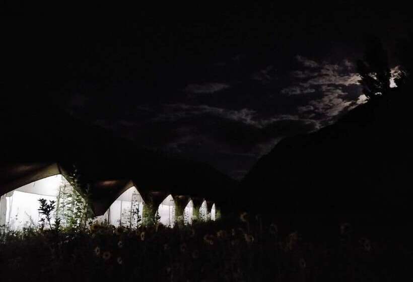 Hotel Tih Buckwheat Root Camp   Turtuk