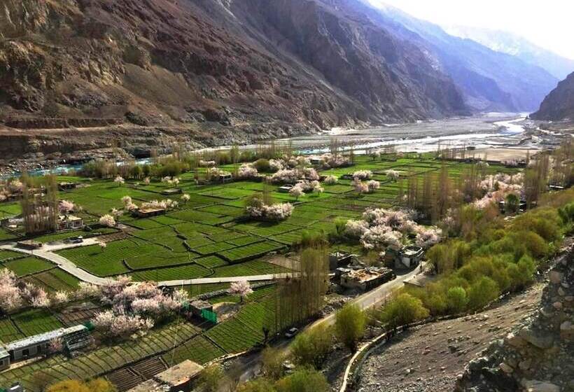 Hotel Tih Buckwheat Root Camp   Turtuk