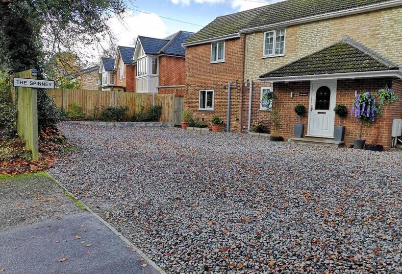 膳宿费 The Spinney