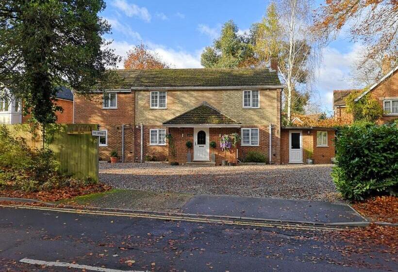 膳宿费 The Spinney