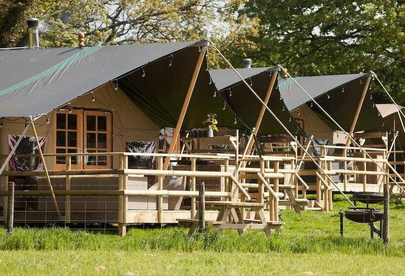 فندق Primrose Farm Holidays