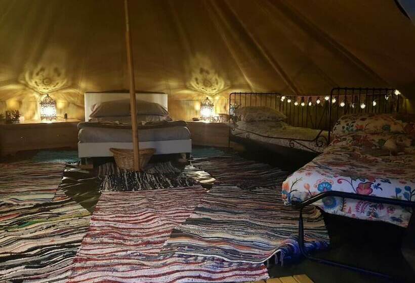 فندق Primrose Farm Holidays