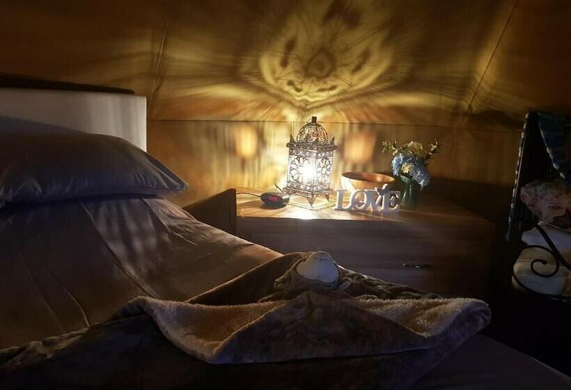 فندق Primrose Farm Holidays