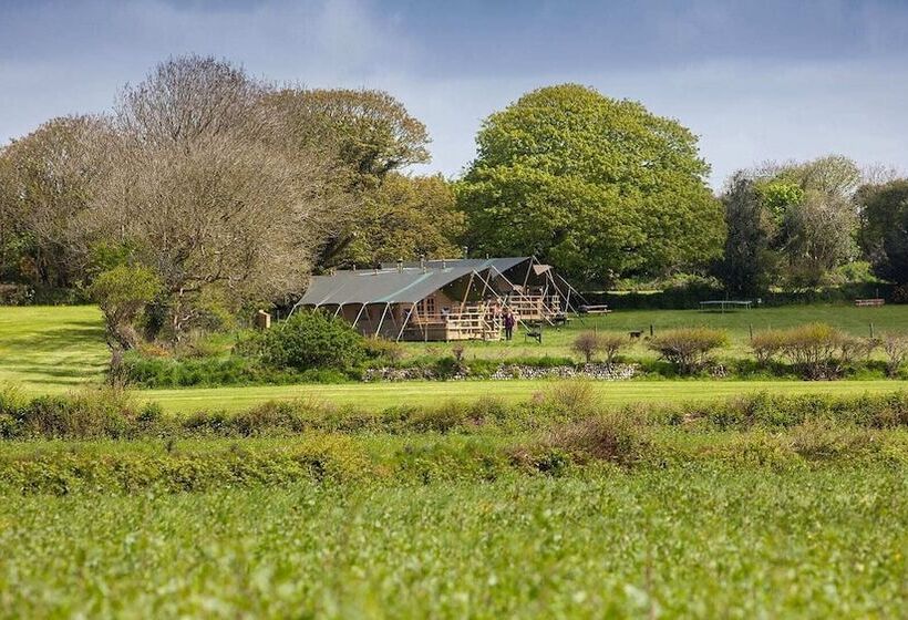 فندق Primrose Farm Holidays