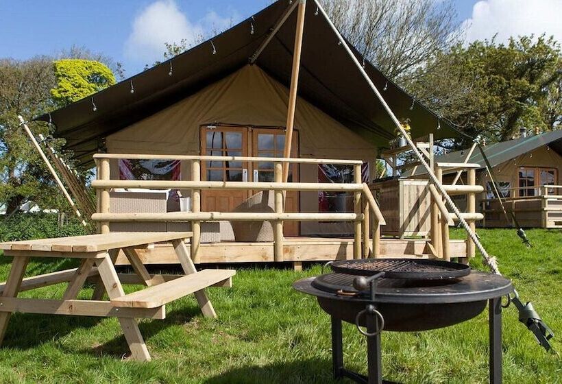 فندق Primrose Farm Holidays