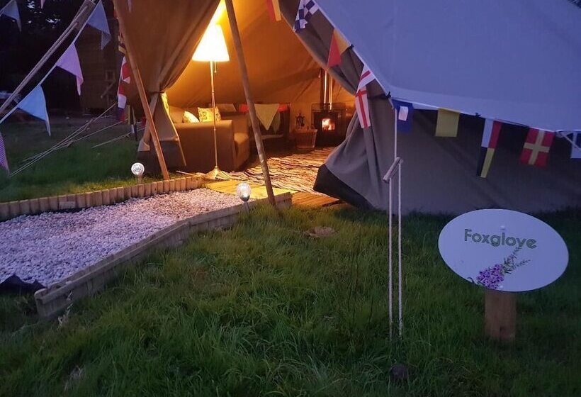 فندق Primrose Farm Holidays