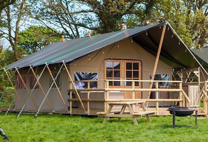 فندق Primrose Farm Holidays