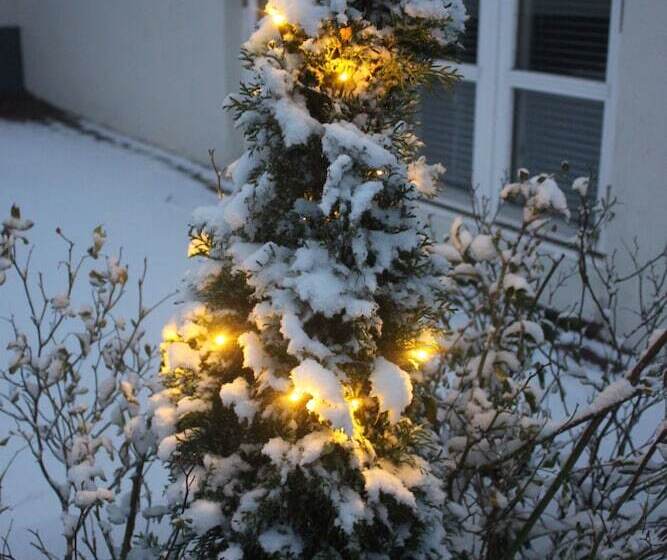 Hotel Spangsgaard Bed And Breakfast