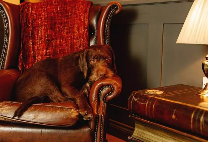 ベッドアンドブレックファースト Wheatacre White Lion