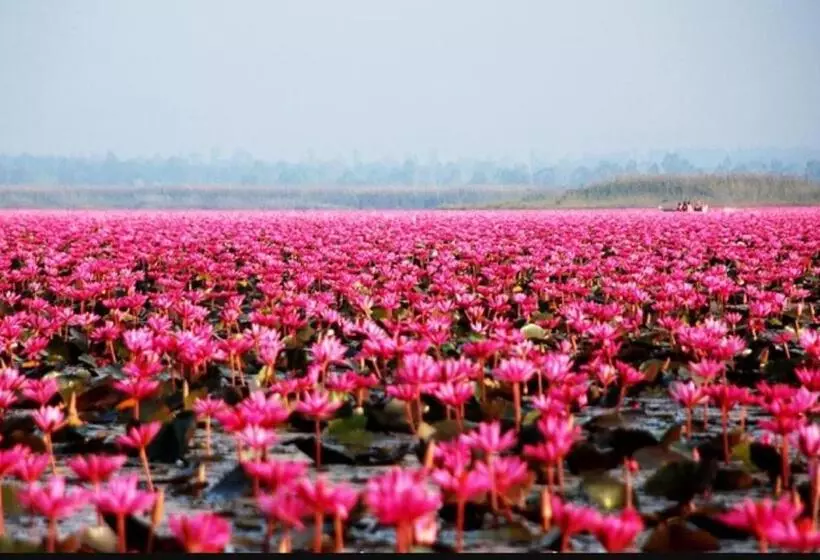 ホテル Amman Unique