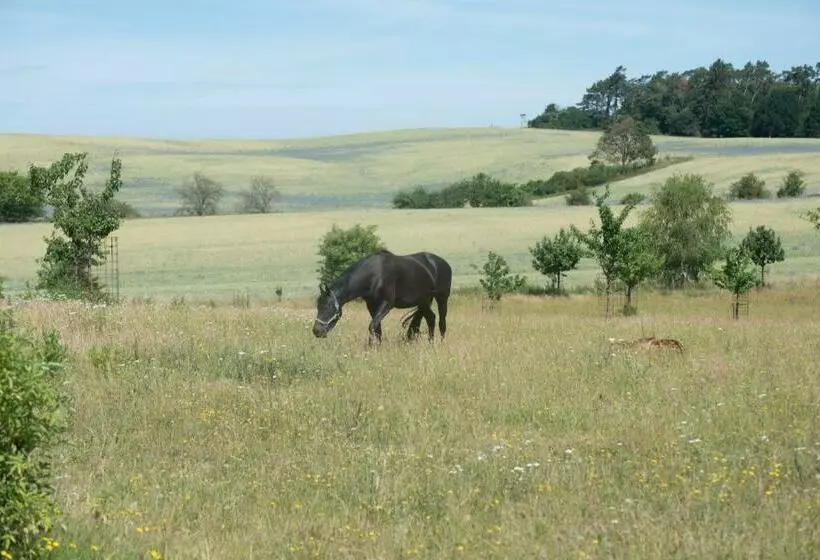 Hotelli Golchener Hof