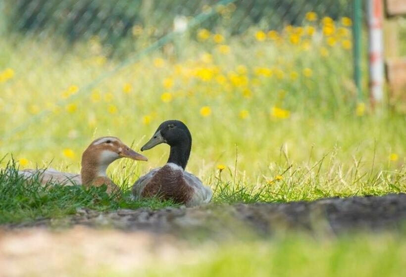 호텔 Golchener Hof