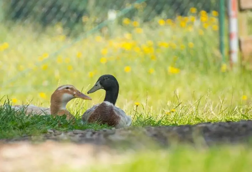 Hotelli Golchener Hof