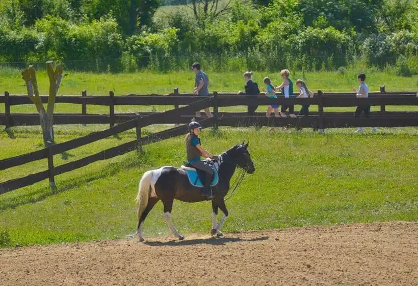 Hotelli Golchener Hof