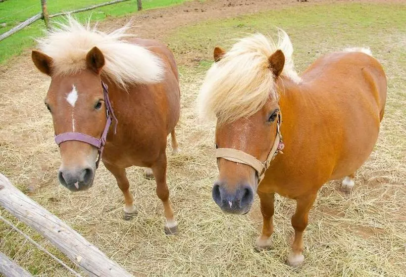 Hotelli Golchener Hof