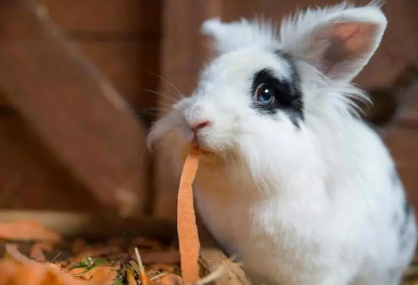 Hotelli Golchener Hof