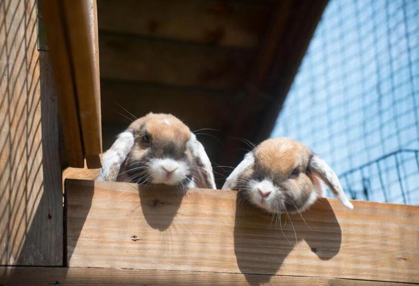 호텔 Golchener Hof