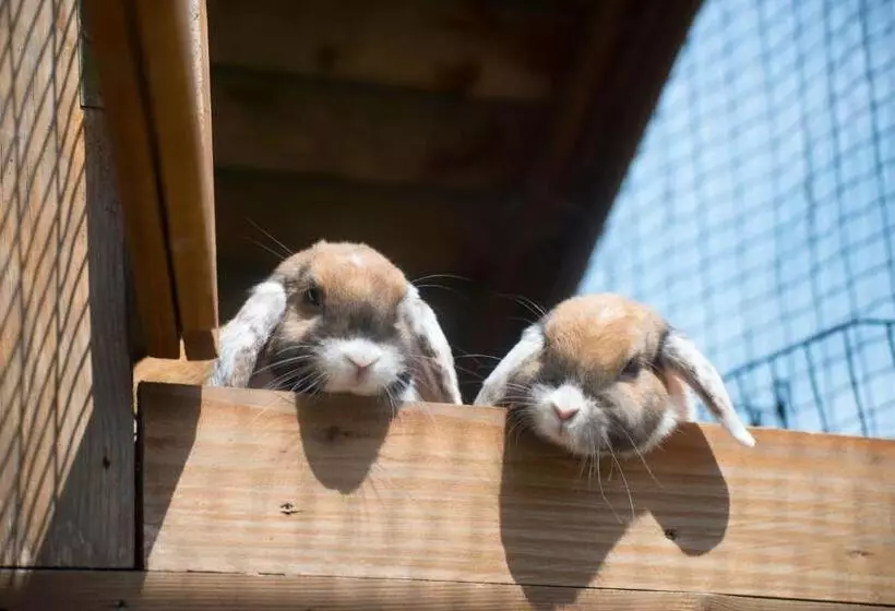 Hotelli Golchener Hof