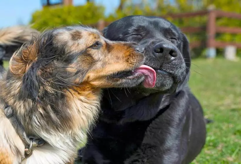 Hotelli Golchener Hof