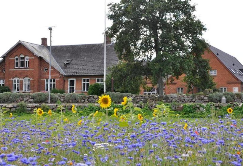 בית מלון כפרי Lundsgaard Bed & Breakfast