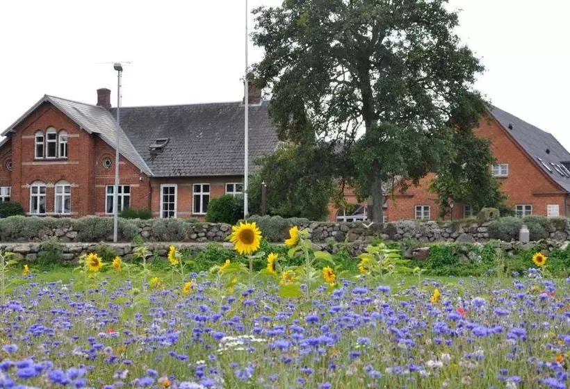 ホテル Lundsgaard Bed & Breakfast