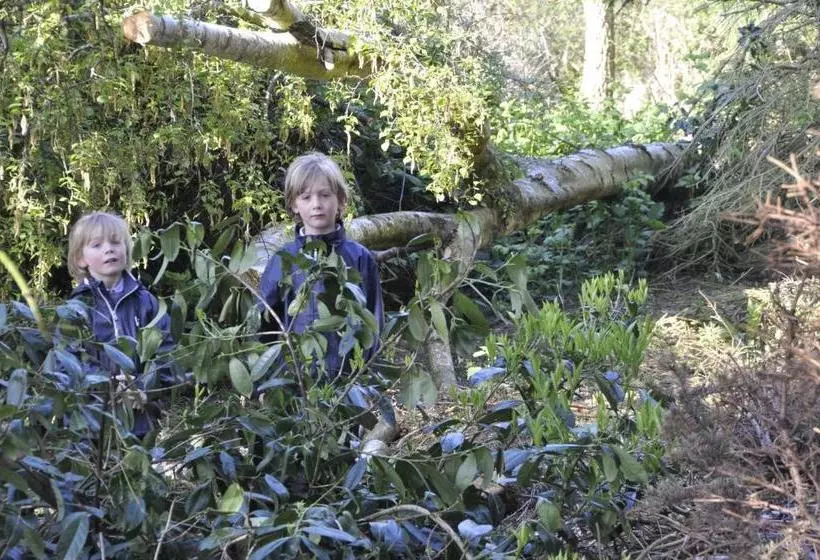 ホテル Lundsgaard Bed & Breakfast