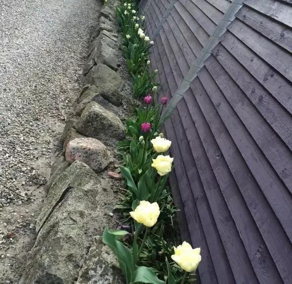 ホテル Lundsgaard Bed & Breakfast