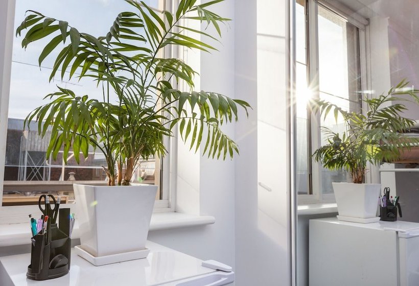 Willow, Carlton Studio Apartment