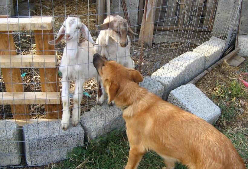 Хостел Agriturismo San Fele