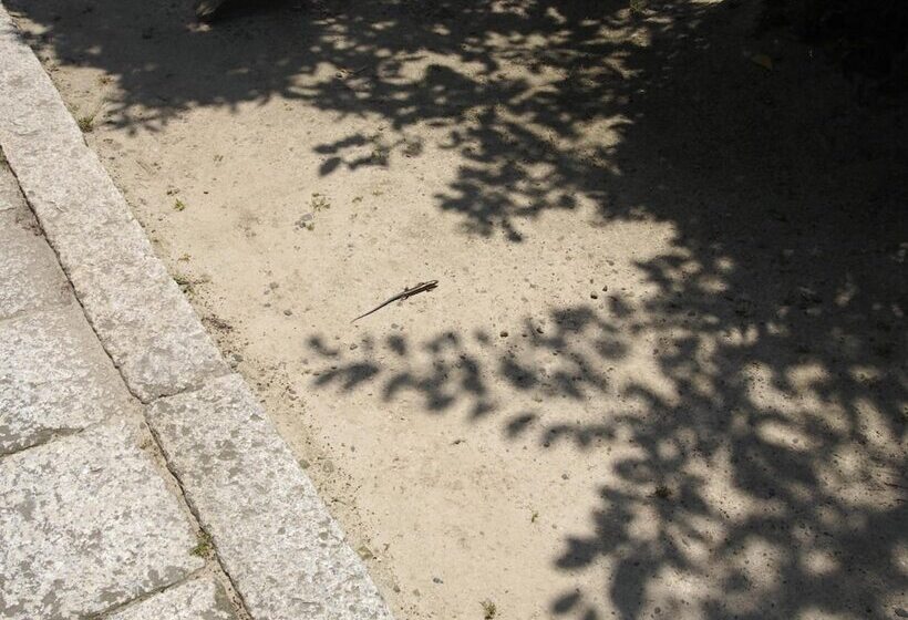 酒店 Imazu Sun Bridge