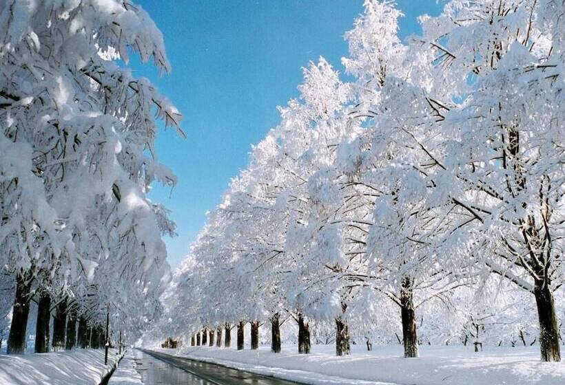 酒店 Imazu Sun Bridge